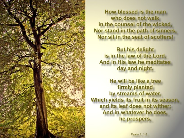 psalm-1-w-tree
